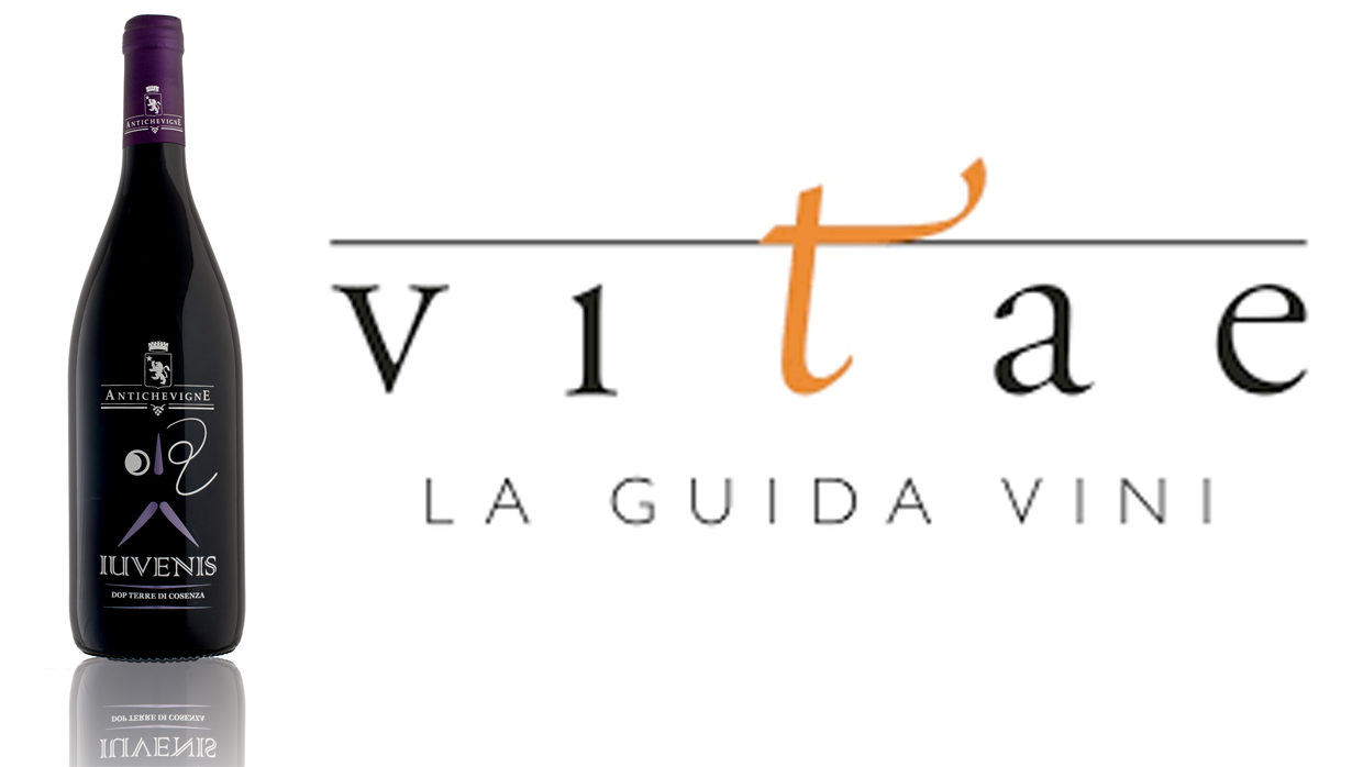 Vitae 2018, La guida dei vini